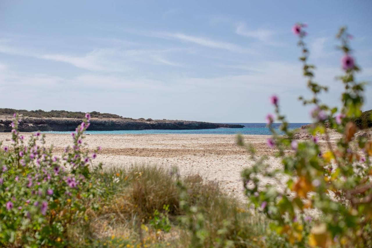 Bonito Apto En Calan Bosch A9 Cala en Bosch Εξωτερικό φωτογραφία